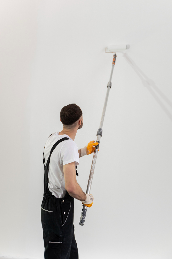 Professional Painting Services in Calgary YYC Renovate